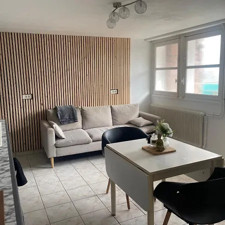 Appartement Avec Petit Jardin Bagneres-de-Bigorre Exterior photo
